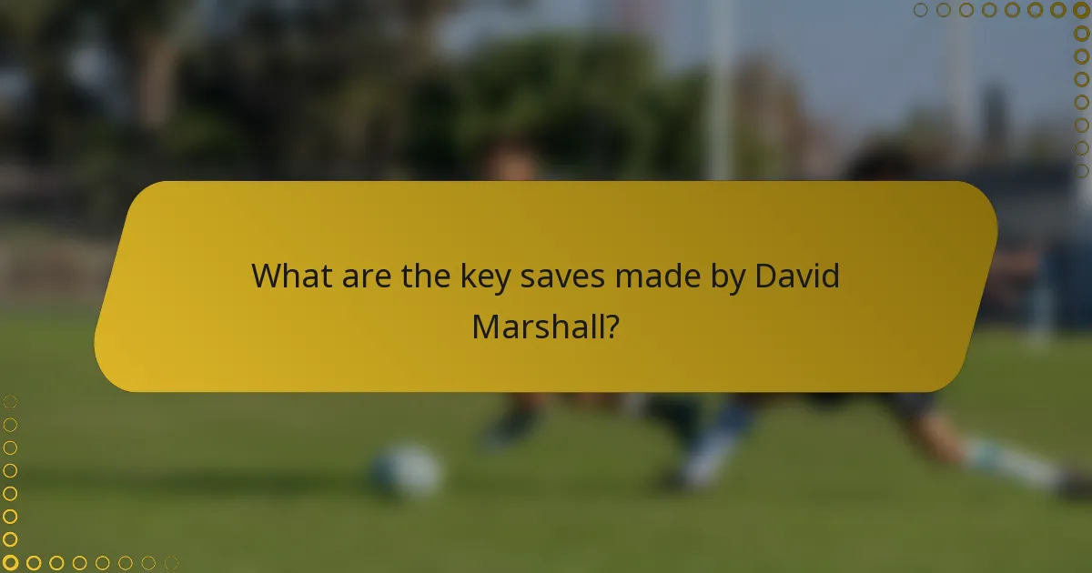 What are the key saves made by David Marshall?