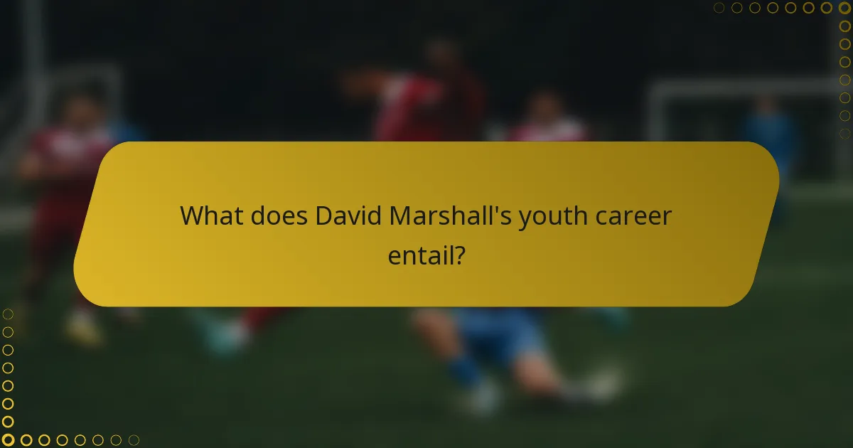 What does David Marshall's youth career entail?